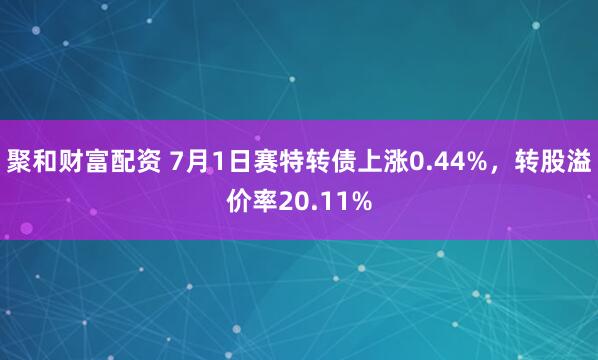 聚和财富配资 7月1日赛特转债上涨0.44%，转股溢价率20.11%