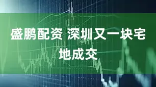 盛鹏配资 深圳又一块宅地成交