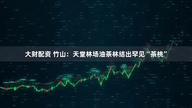 大财配资 竹山：天堂林场油茶林结出罕见“茶桃”
